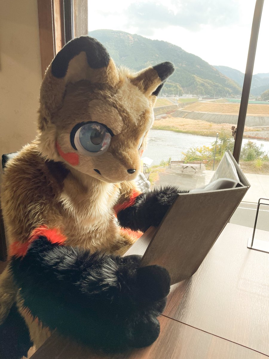 🦊✨🔥「なにたべようかな〜」
#やまいぬカフェ
#FursuitEveryday