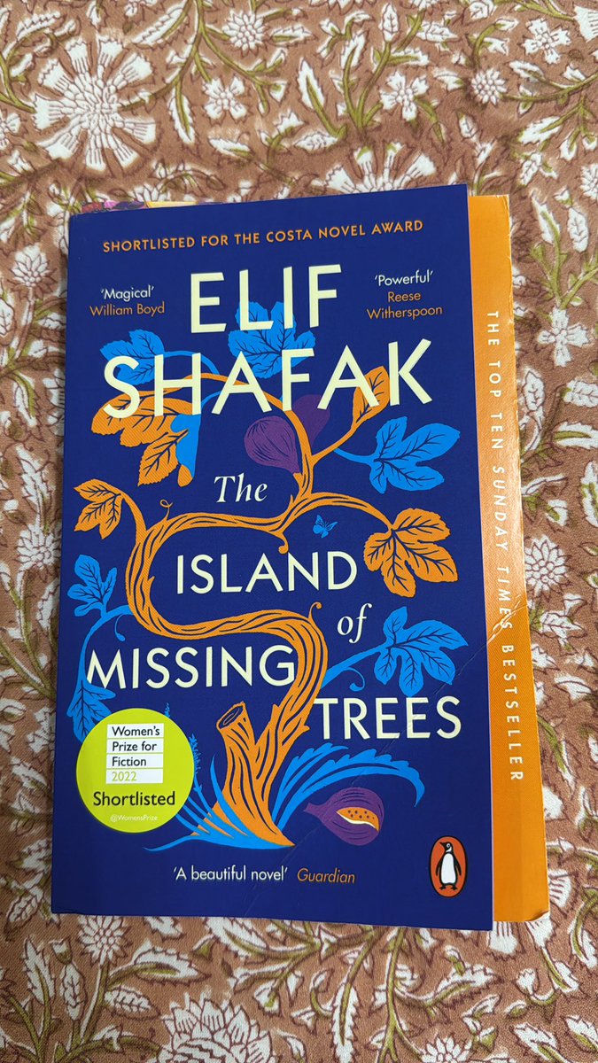 lixirlai's tweet image. cr: the island of missing trees