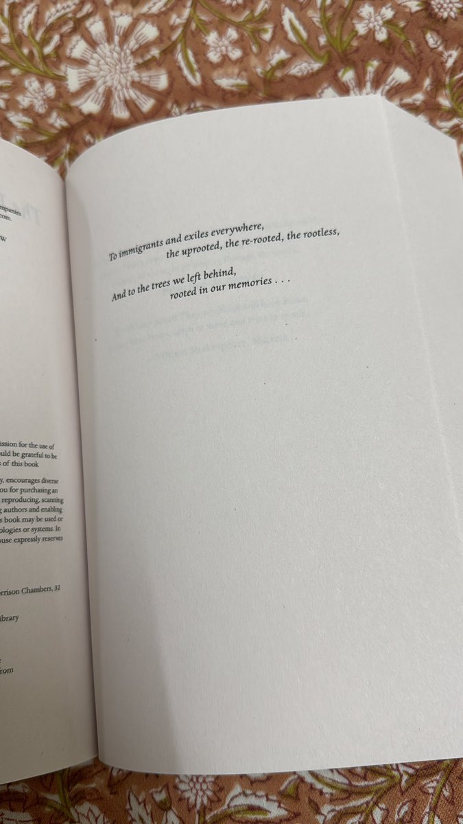 lixirlai's tweet image. cr: the island of missing trees