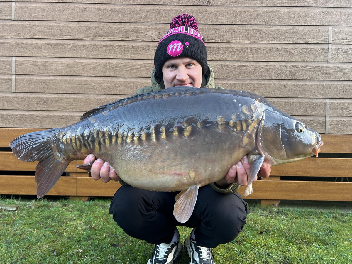 Mainline Baits Official tweet media