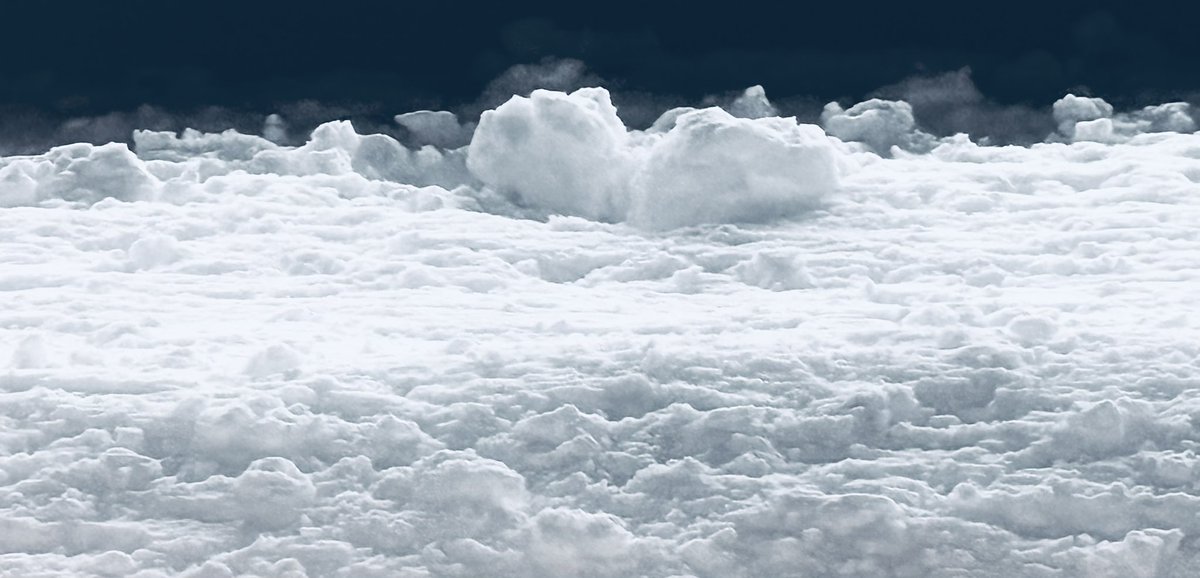 雪玉みつけると
赤い実ないかな?落ちてる葉っぱないかな?って脳内で雪兎がぴょんぴょこ
🌱🫜🐇
白ってほんとに綺麗な色だなぁ