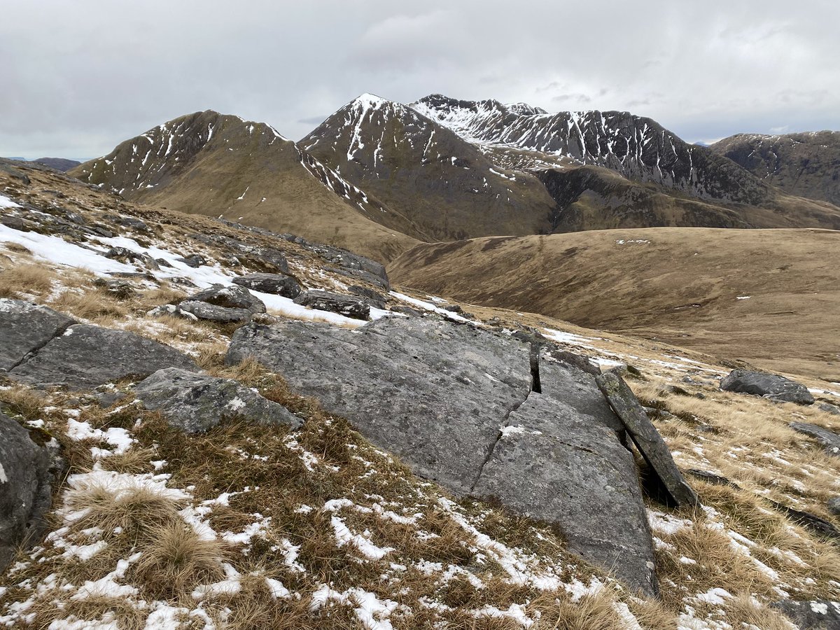 Hazel Strachan tweet media