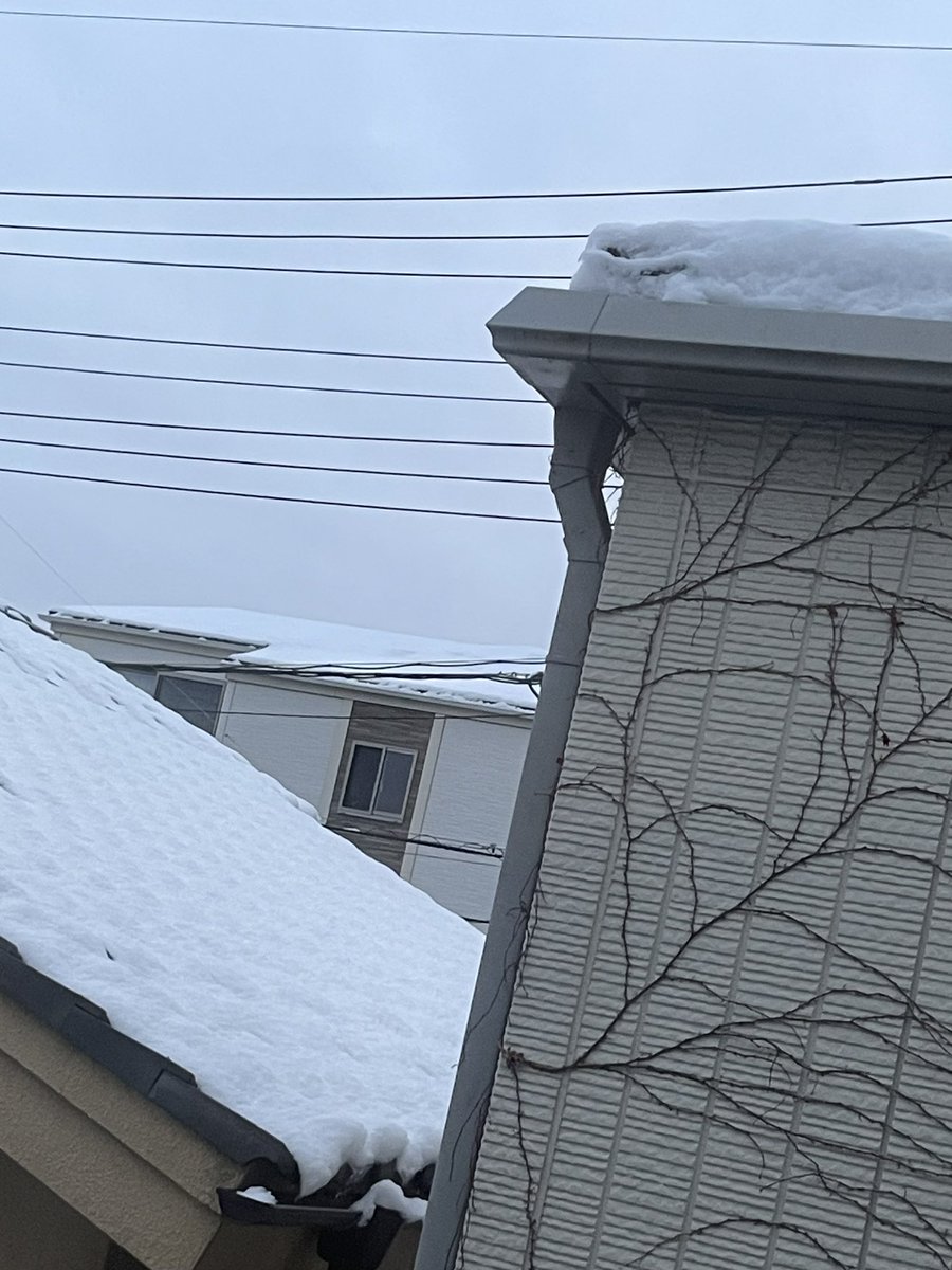 朝から雪凄かったねぇ☃️❄️

1月2日以来の牡丹雪❄︎.*
結構な積もり具合⋆꙳•̩̩͙❅*̩̩͙‧͙

そんな中
選挙ギリギリ滑り込んできた🙂‍↕️

あぁ
お腹空いた(›´ω`‹ )