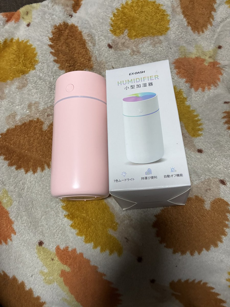 きっちゃんA tweet media