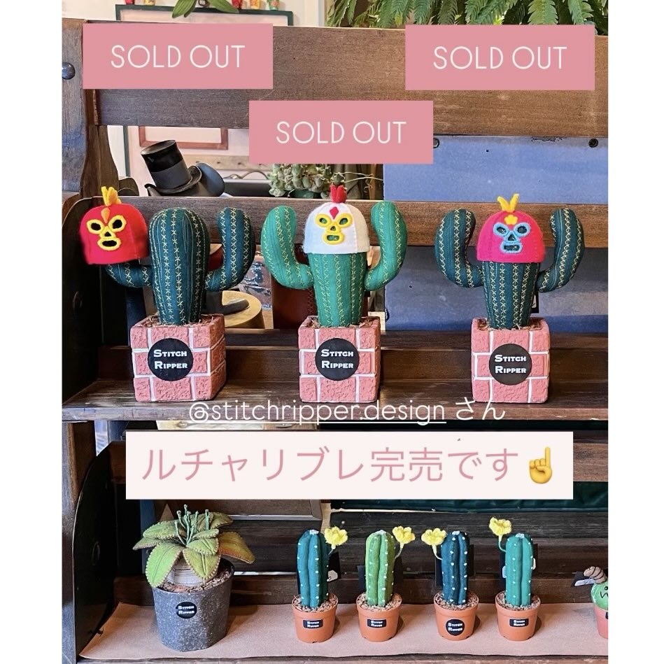 🌵ニチニチさんに納品しましたルチャリブレサボテン(マスクドサボテン？)は完売致しました🍀お迎えいただきありがとうございました
《ニチニチ元町店》横浜市中区元町1-73-17
みなとみらい線「元町・中華街駅」5番元町出口より徒歩4~5分
営業日(水)(木)(金)(土)(日)11:00~18:00