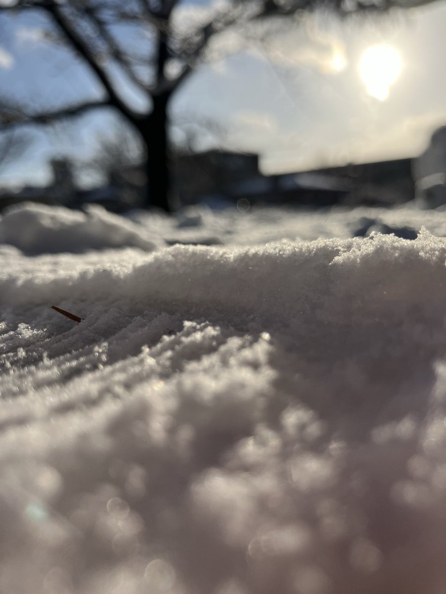 雪❄️