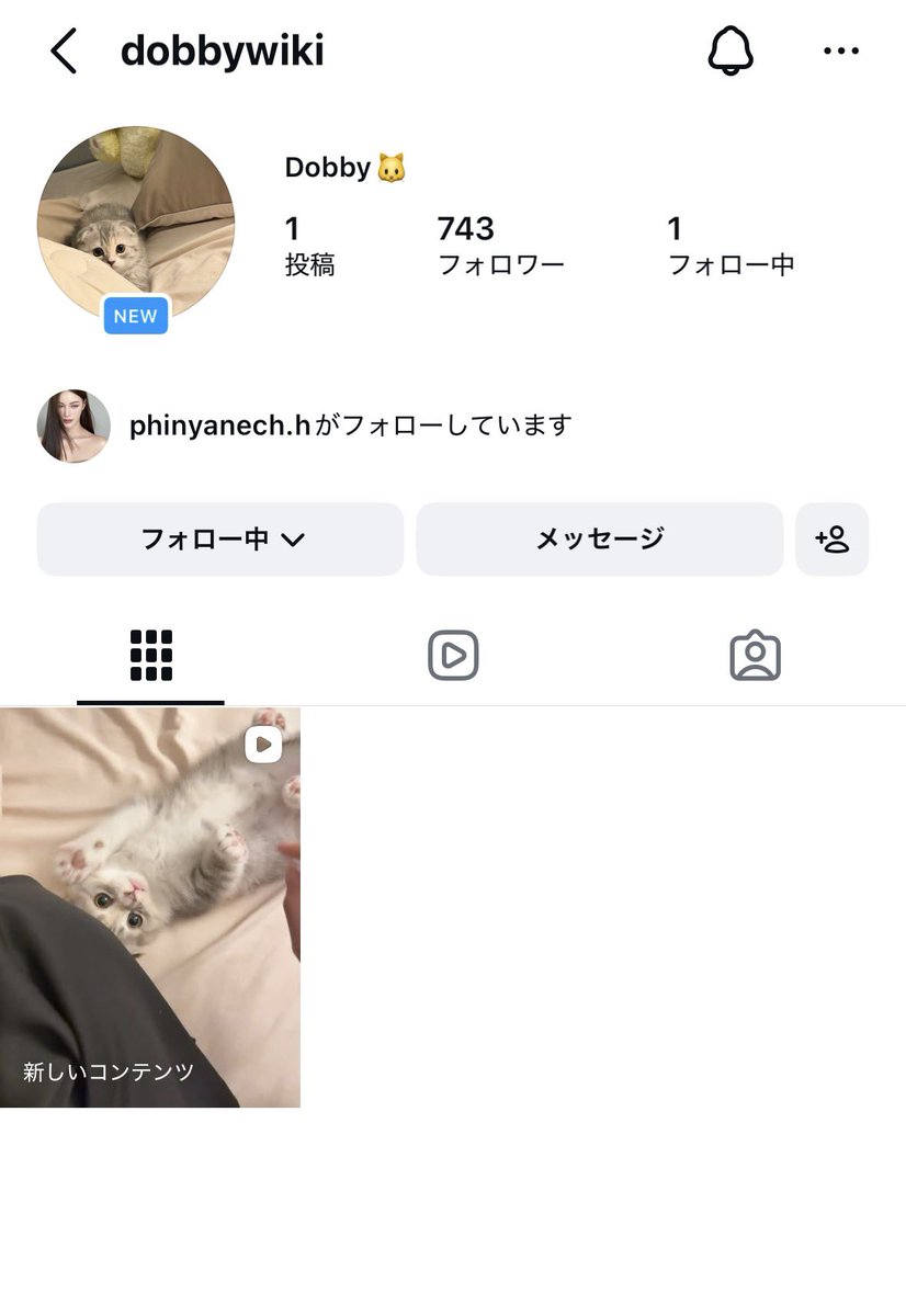 99okamurazstar1's tweet photo. “My name is Dobby.🐱”
かわいい♡
ついにP'kwaちゃん家のDobbyちゃんアカウントが開設🥳
#TKphinyanech
#Dobbywiki 2026.2.8🐾 https://t.co/UbDJj9tZzi