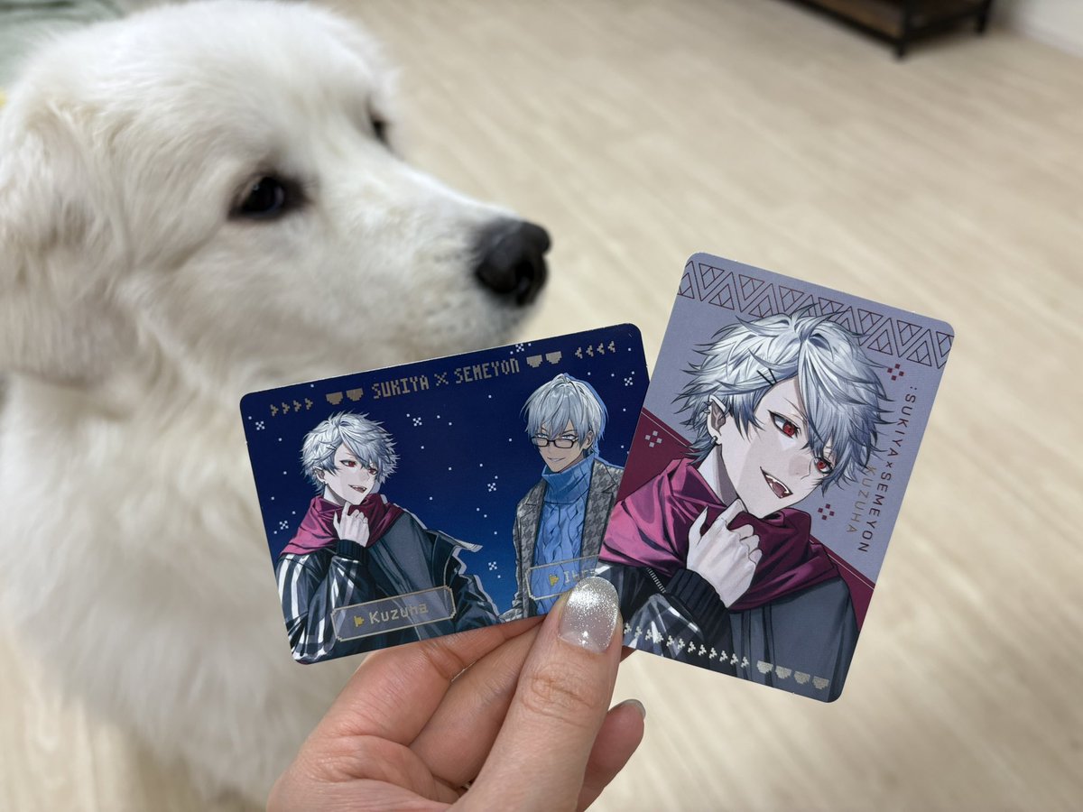 けるこ tweet media