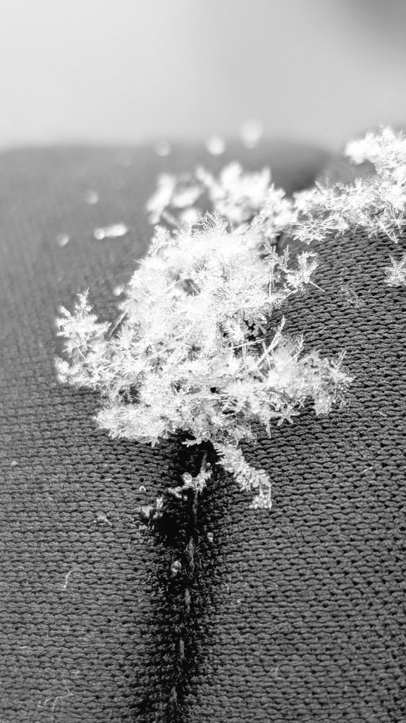 松井 美帆 tweet media