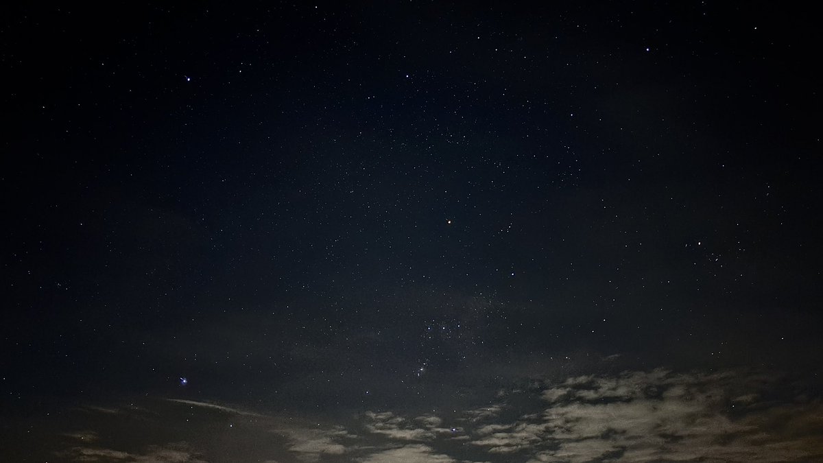 bubefly 🌻 tweet media