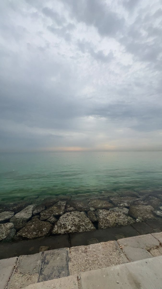 فارس tweet media