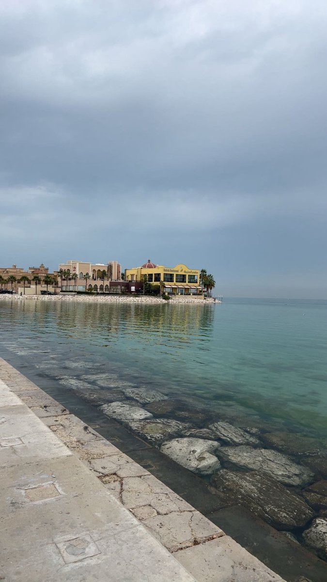 فارس tweet media