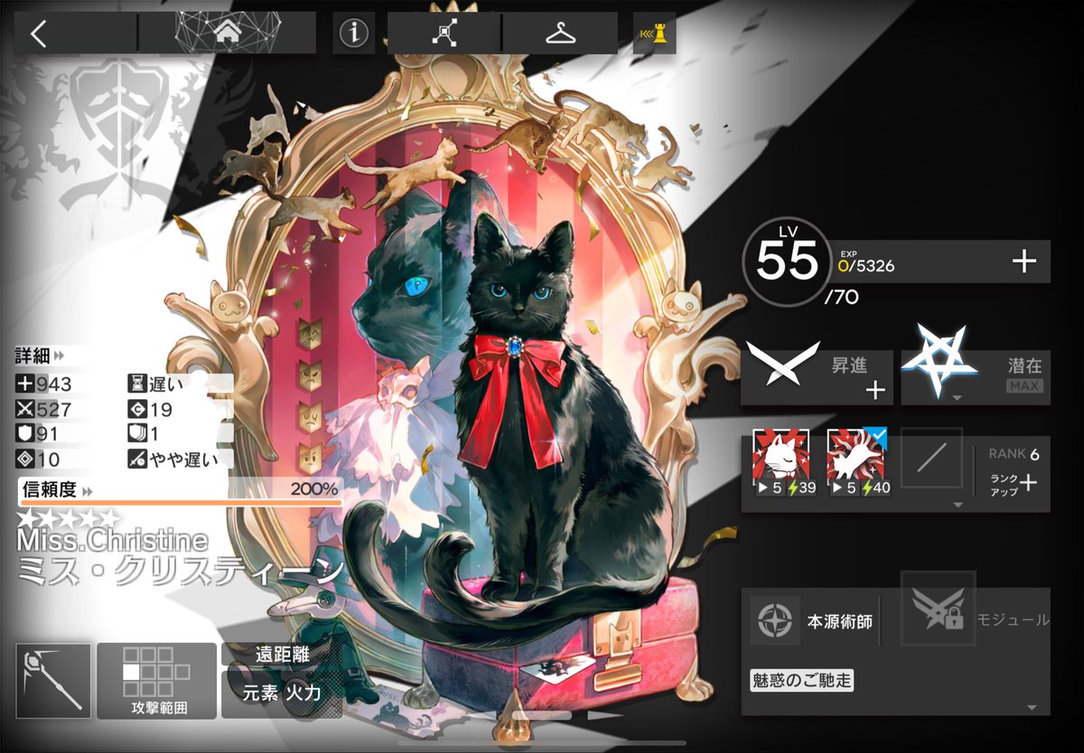 次はこの子ฅ( ˙꒳​˙ ฅ)ﾆｬ