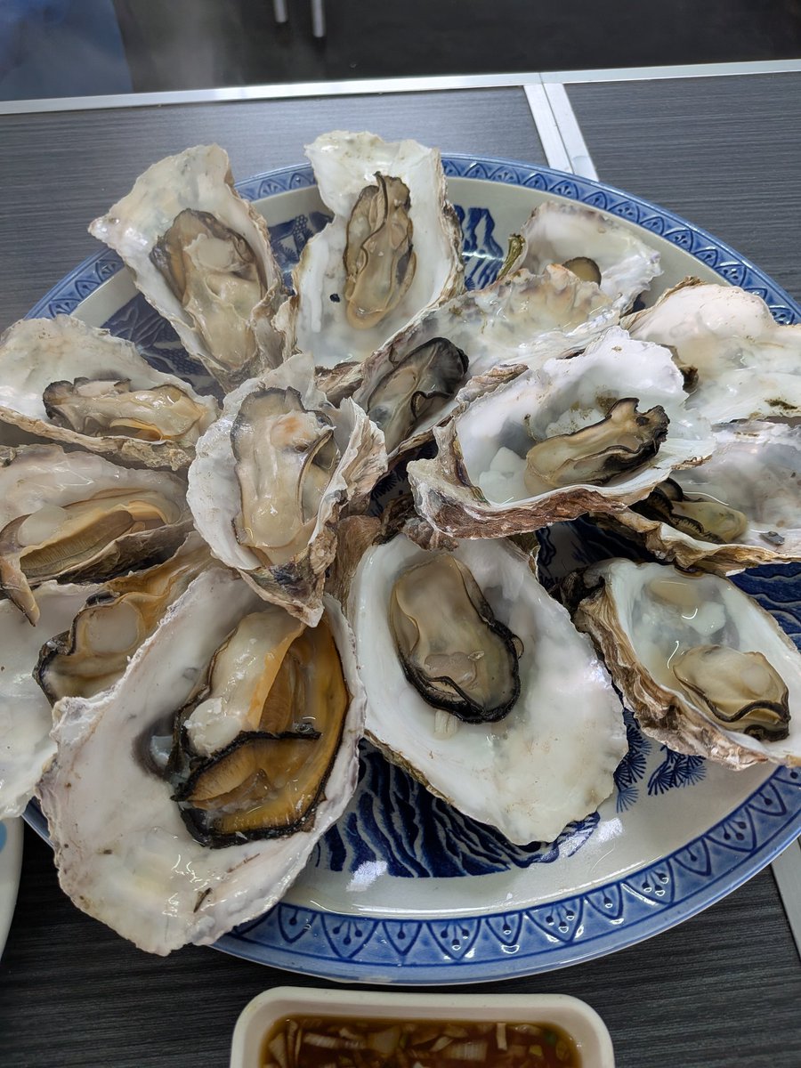 かっちん🍇 (@5vhHxhsJYweId0u) / Posts / X