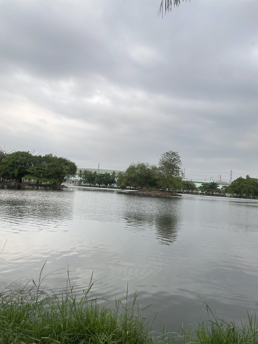 เรนเดียร์อยากมีแฟน tweet media