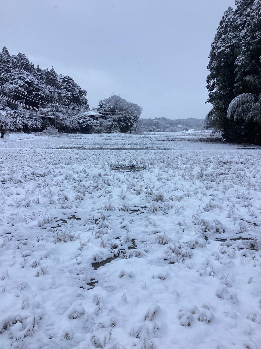 yaminabe38's tweet photo. |-･｡)ｿｫｰ…
今年も宜しくお願い致します🙇‍♀️
やみなべ、家の雪が酷すぎて出られず、本番ドタキャンしてしまいました💦
完全に、陸の孤島🥺
除雪して、お昼にはとりあえず大きい道路まで出られるようになりました。
昨日もそうだったけど、雪をパンパンと払っただけで落ちる、パウダースノーでした❄️ https://t.co/hPgkFQYcxO