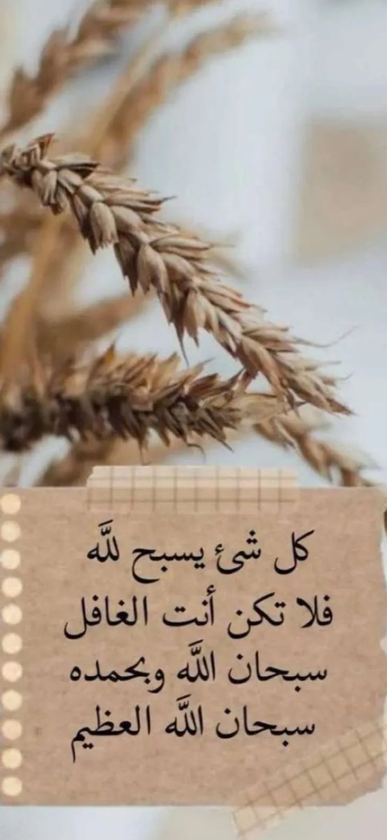danah_zs's tweet photo. https://t.co/AaWBlyGi0J