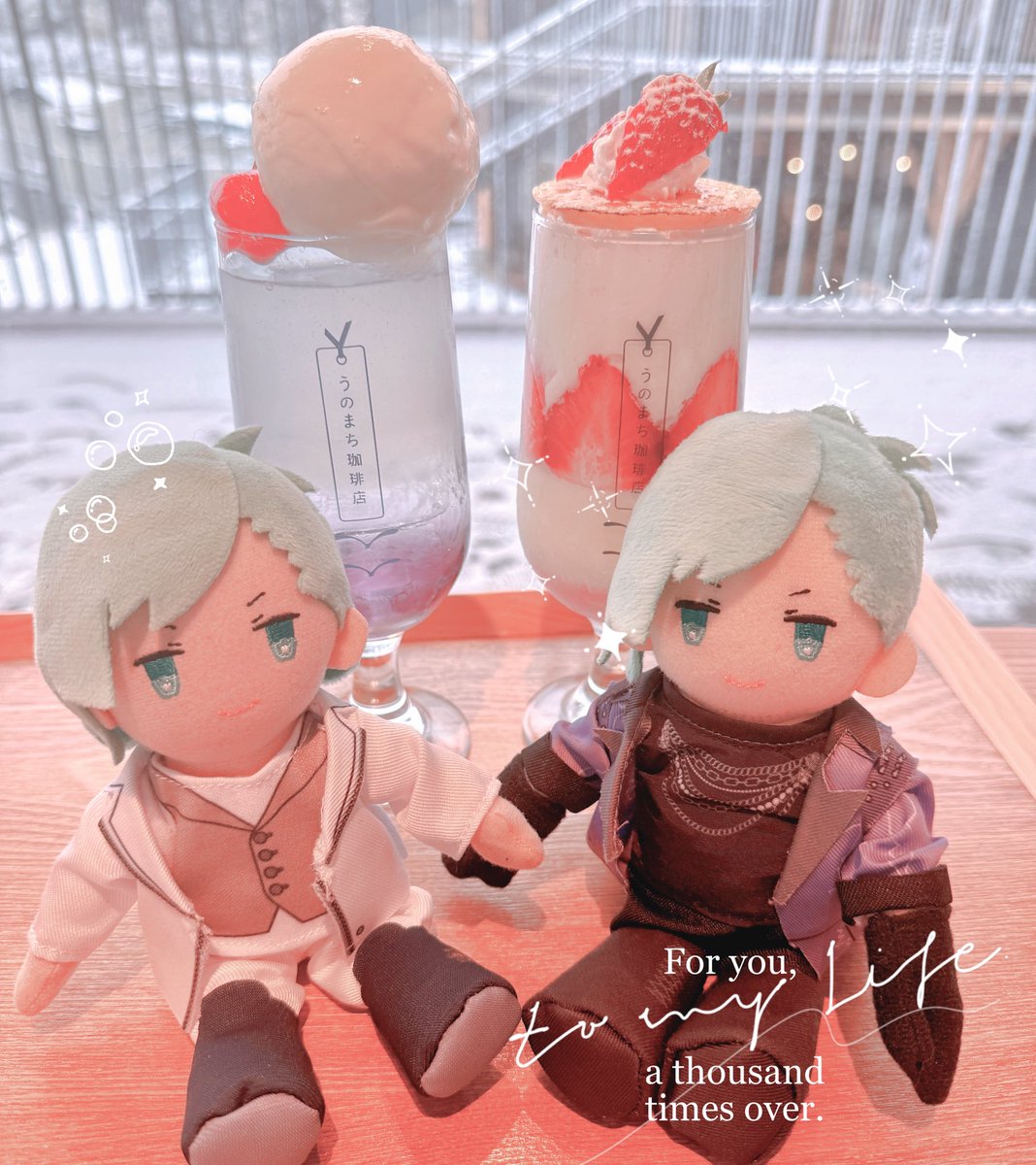 るーちゃんちの藍ちゃんと一緒に写真撮ってもらった💜✨💜 も