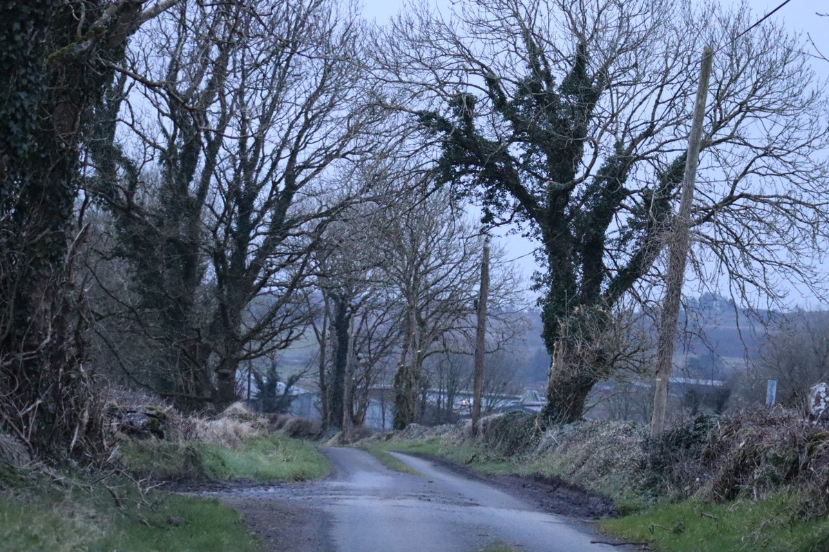 BDuffma's tweet image. #Clare #Burren #100daysofwalking 🟡🔵🖤🤍💚💛  ⚪️⚫️ after the rain... #Sunday