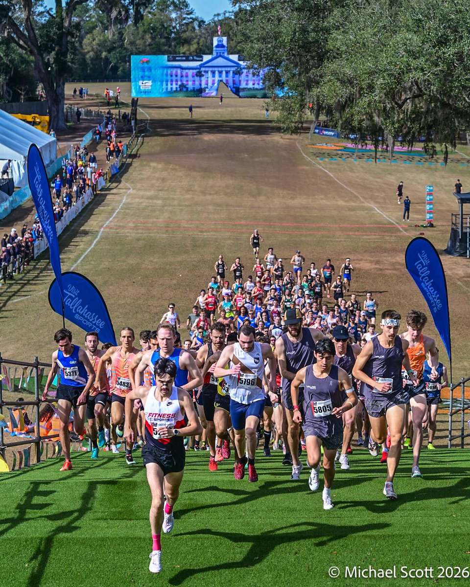 Michael Scott tweet media