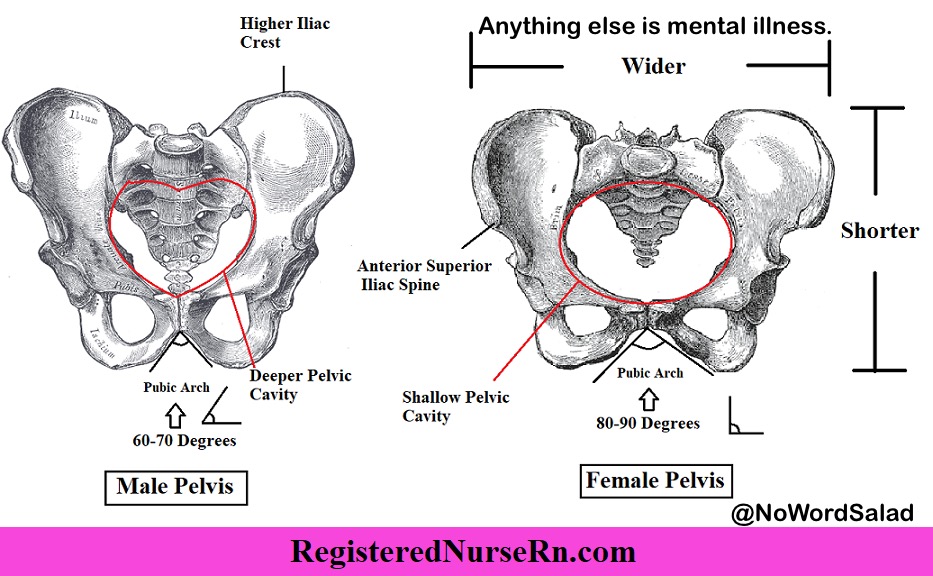 <a href="/catturd2/">Catturd ™</a> NOPE!