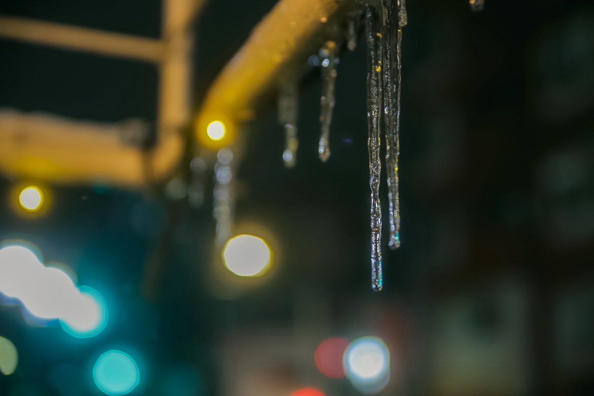 龍太郎Photo🏝️🦋 tweet media