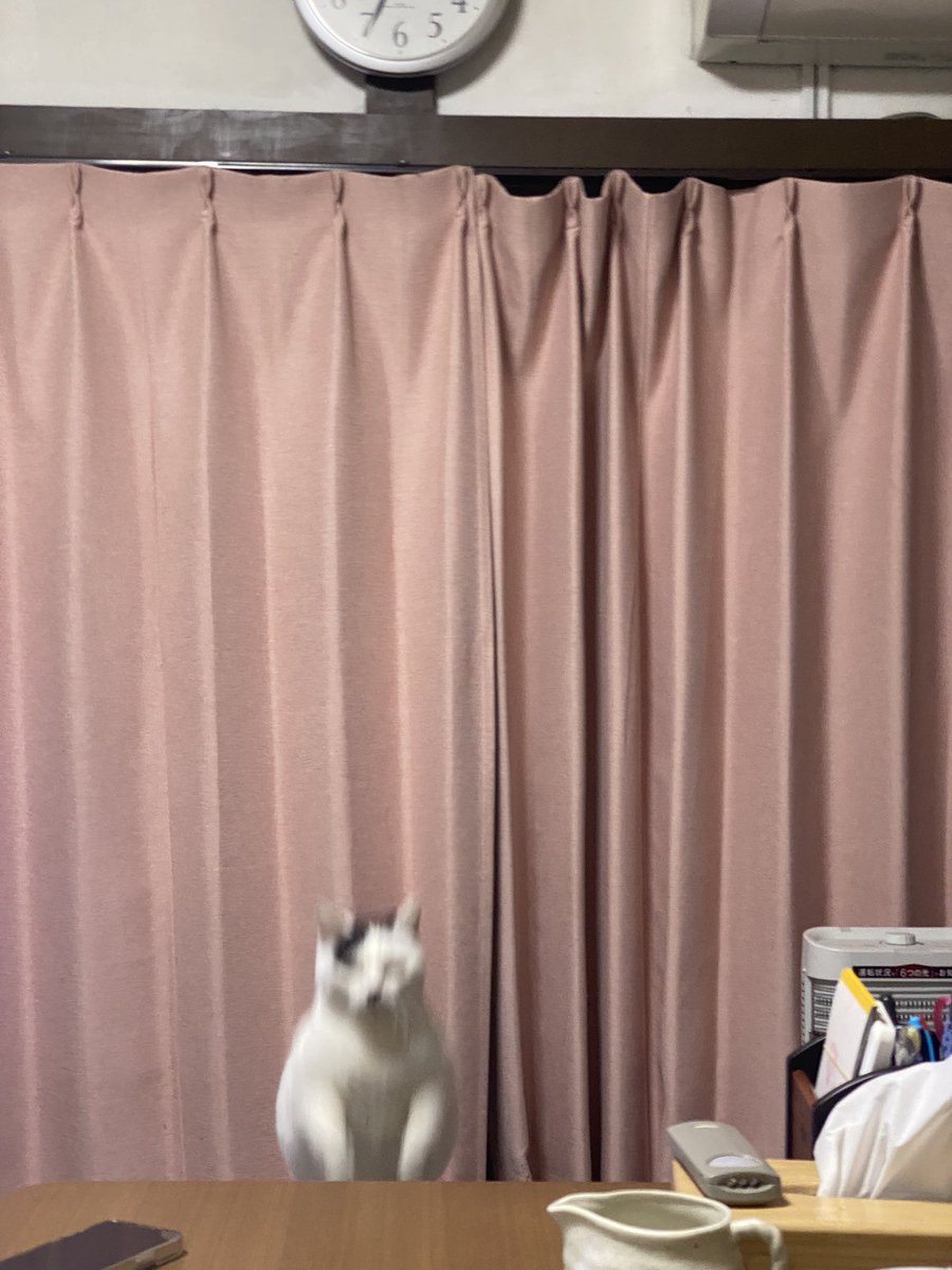 城主ペネロペ tweet media
