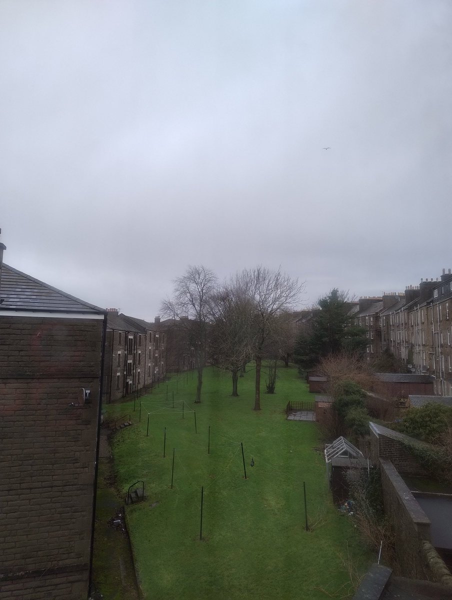 Snowy Winter 🏴❤🇪🇺🇺🇦😷❄️🏔️ tweet media