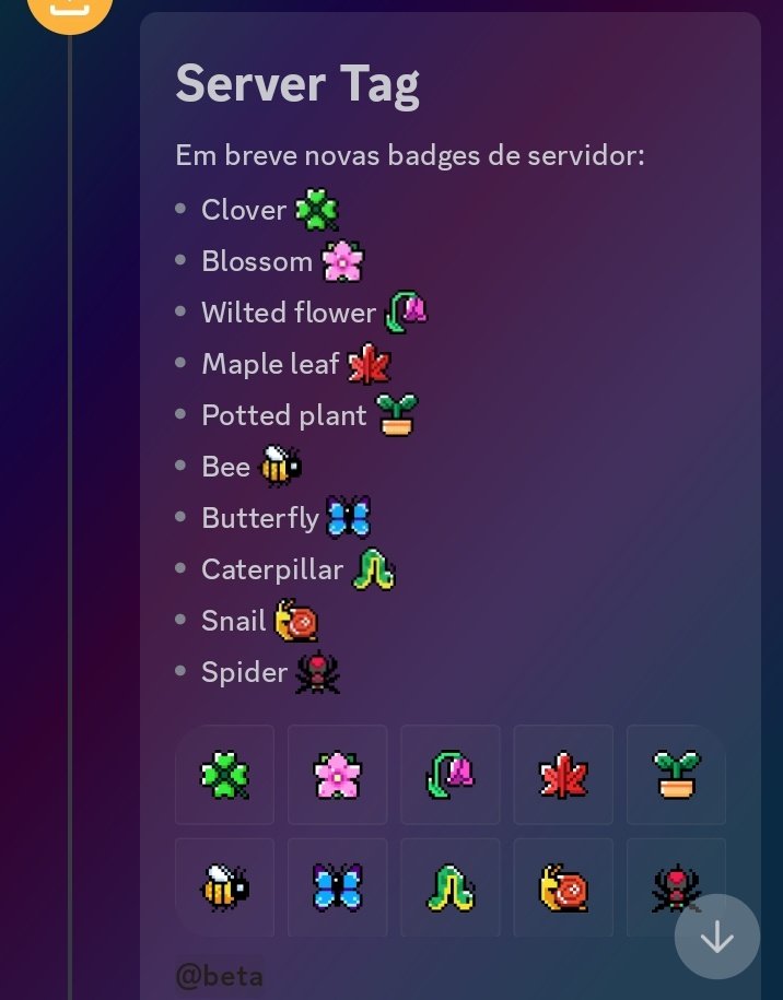 Discord is preparing new Server Tag badges 👀 Clover 🍀, Butterfly 🦋, Bee ...
