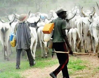 Two k!lled, several injured in fresh herdsmen attack on Benue community