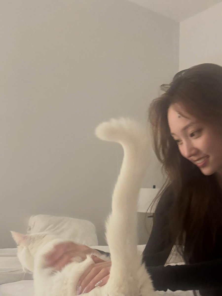 onbbi__'s tweet photo. 코양이랑 코양이의 만남 조으당 .. 💕🤍 https://t.co/O0jWbel8MN