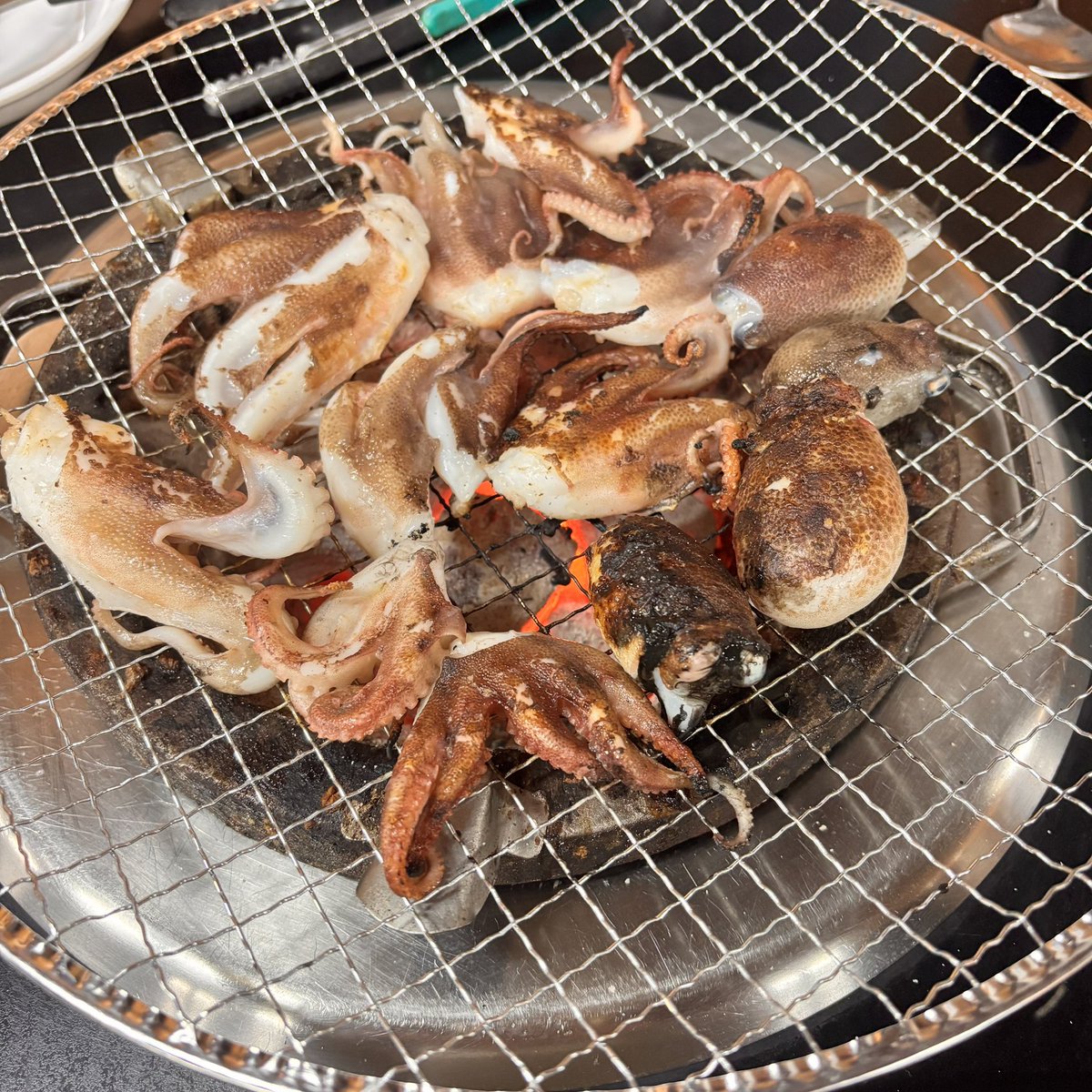 ¹⁰⁰⁰ tweet media