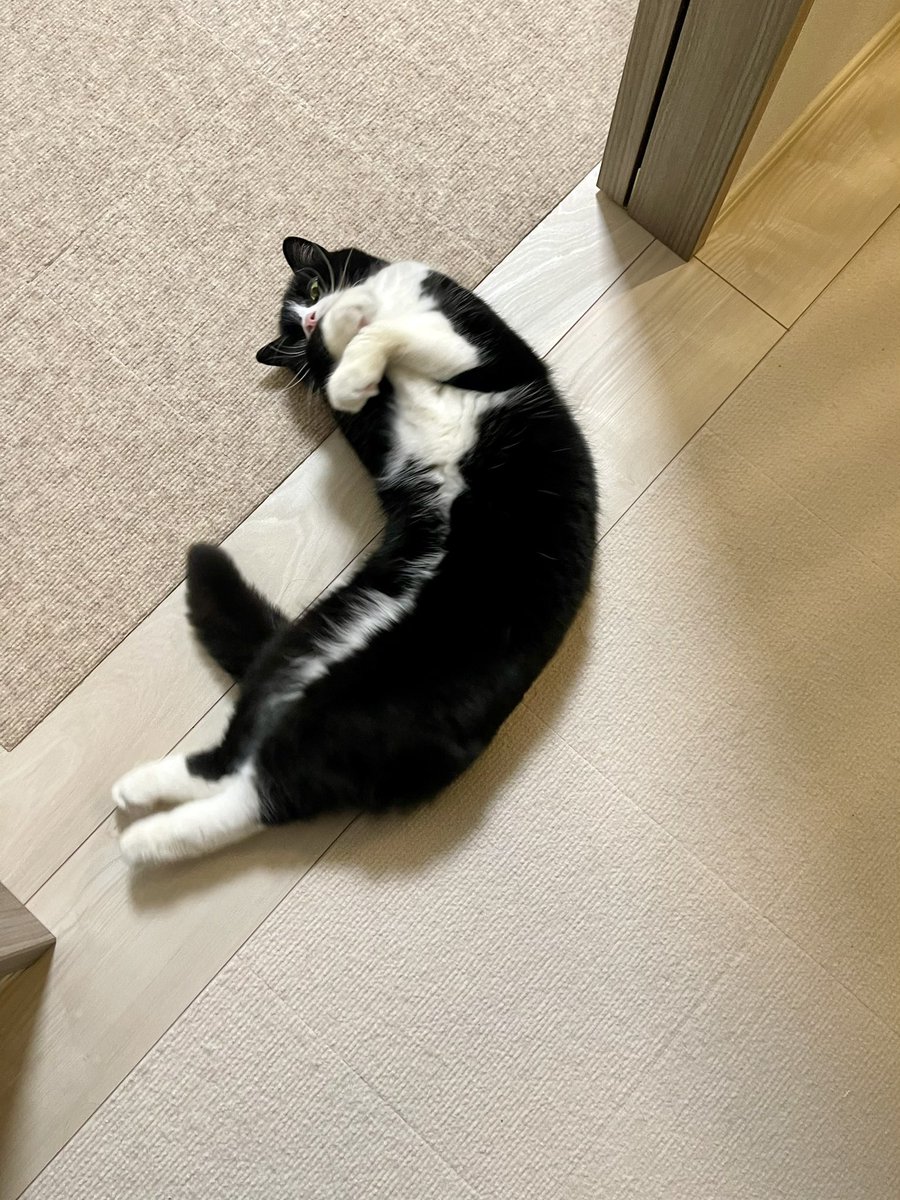 たろう (@taro20216) / Posts / X