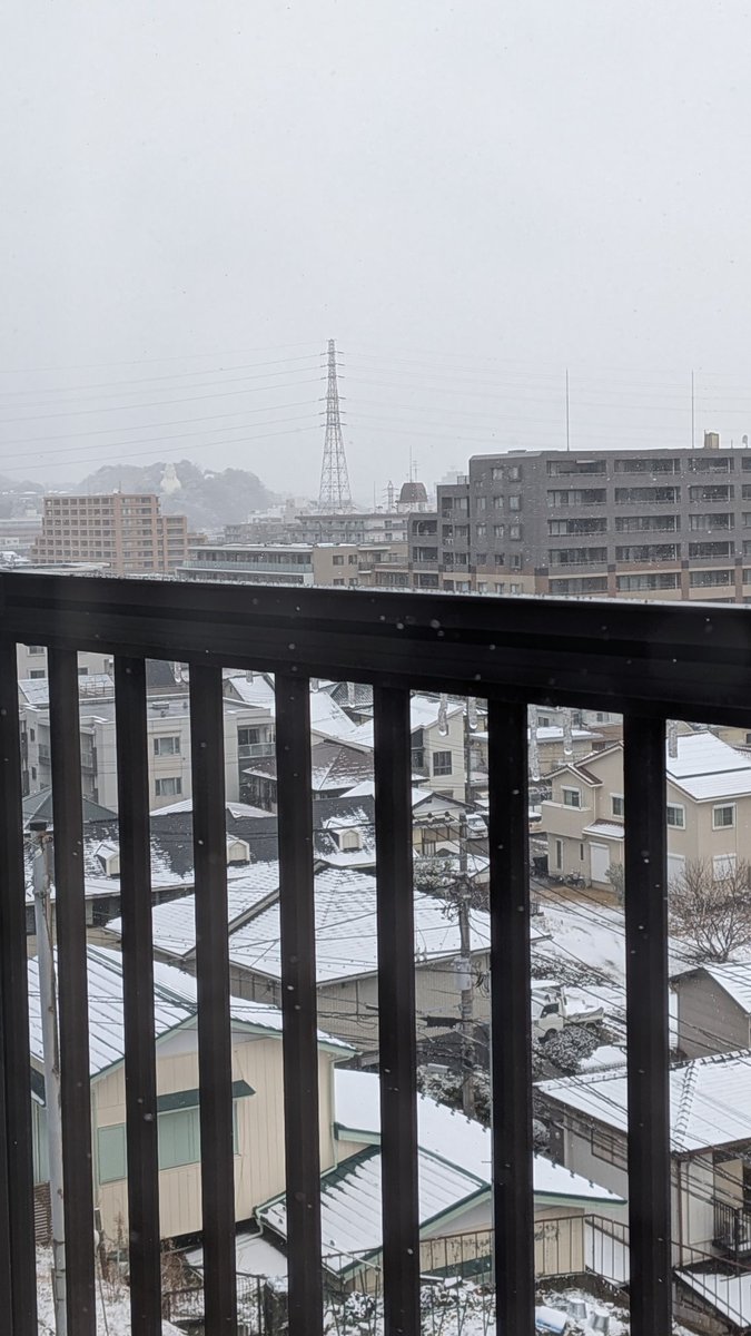 ハーディングフェーレ&ヴァイオリン工房K 原圭佑 tweet media