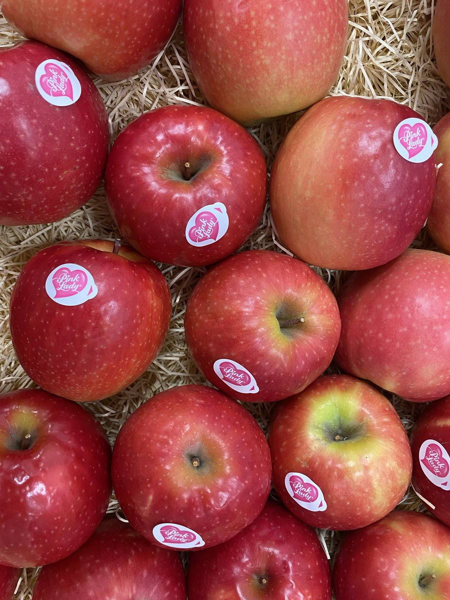 oshima_gohan's tweet photo. 昨日はりんごのピンクレディー®︎20周年ファンミーティング🍎

「甘さ・糖度ブーム」のなかで酸っぱいピンクレディーを植えた先駆者の生産者さんたちと、ピンクレディーに夢中❣️なお客さまたちの交流、最高でした！みなさんありがとうございました！

#ピンクレディー20周年 https://t.co/q0iMfdwt6u