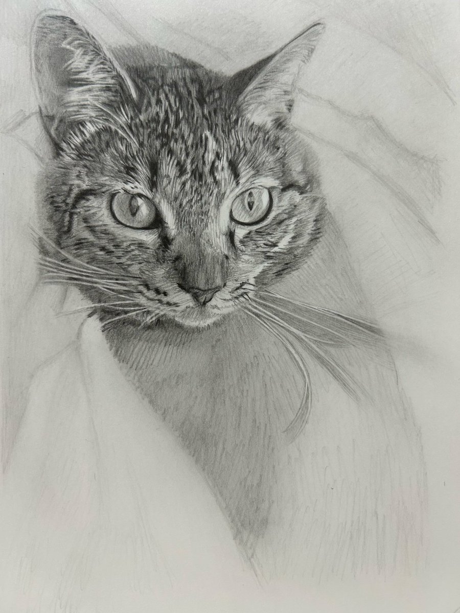 西方 由美 (@tarakuro510) / Posts / X