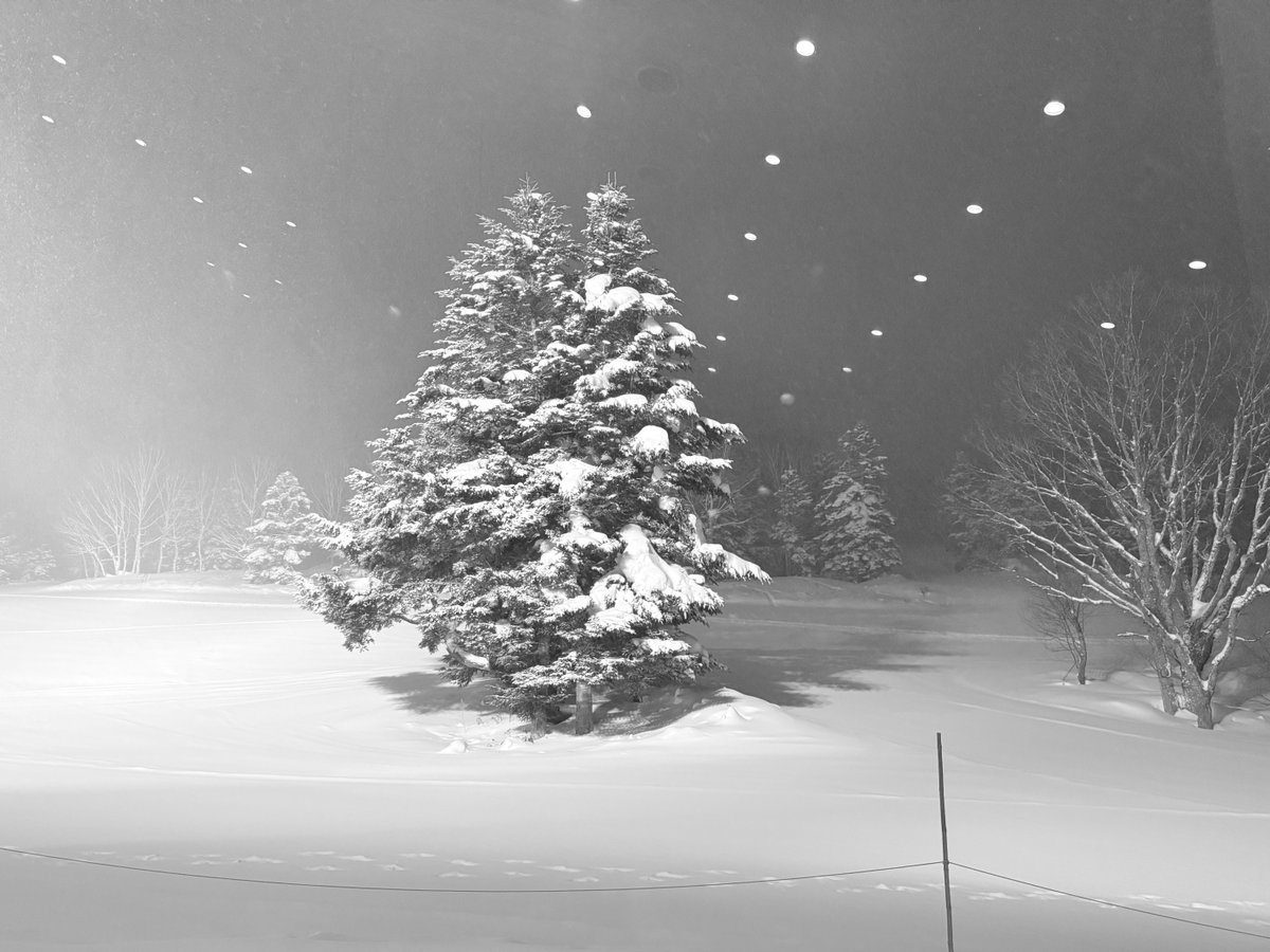 moriojsn's tweet photo. まだ吹雪いてます。 https://t.co/zWfUmXKtMx