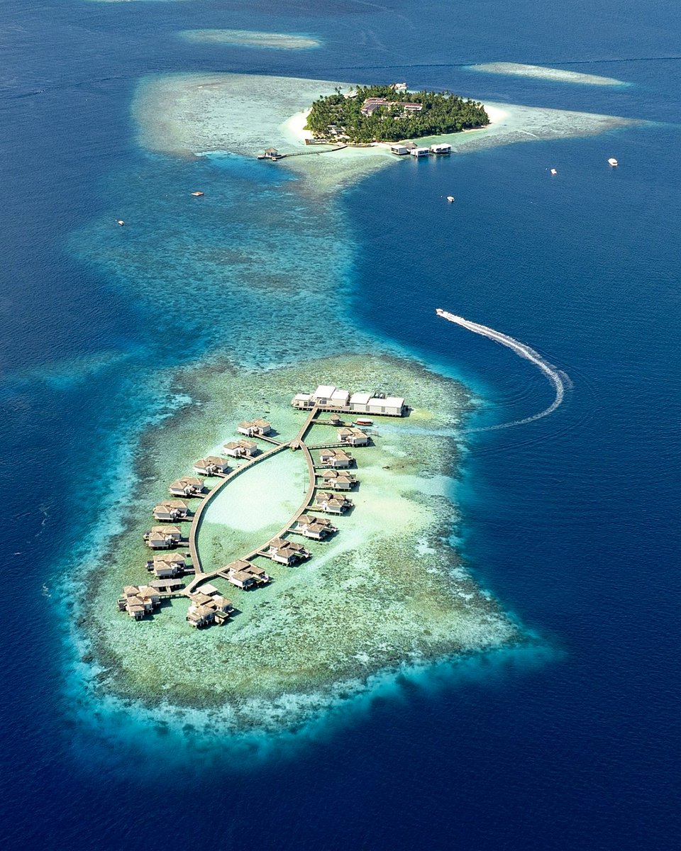 BonVoyagePL's tweet photo. #Nowość 2025/2026 - To może być Twój prywatny raj na Malediwach
 
The Halcyon Private Isles Maldives 6⭐
#Malediwy z lotami np. 10 dni ✈️z:
- HB już od 14.500 zł osoba
- All Inclusive od 25.000 zł
 
👉 Bon Voyage 📞 500078555
w godz. 10-17 od pon. do pt.
🌍https://t.co/ueAiFQO0dP https://t.co/Lrf1XrcsyA
