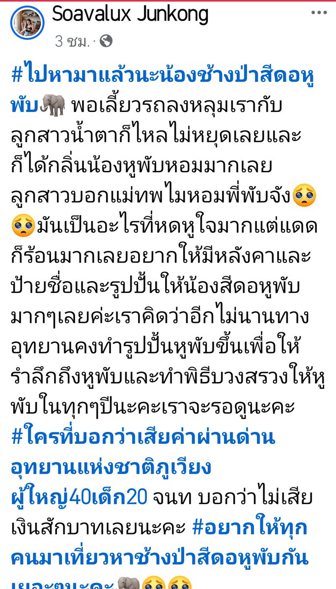 chaleenajaja's tweet photo. เราทำช้างตายเพื่อสร้างอนุสาวรีย์เหรอ เราต้องการแบบนี้เหรอ คือเห็นหลุมพี่หูพับและอ่านโพสต์คนไปเยี่ยมจะร้องอ่ะ เราไม่ค้องการให้เกิดเหตุการแบบนี้อีก ไอ้เหี้ยเอ้ย #สีดอหูพับ https://t.co/D8mM5U1LCC