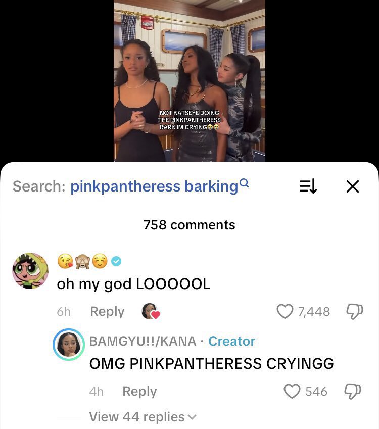 manziegirl's tweet photo. pink literally commented and finds it funny dont be brainless on purpose pls https://t.co/am24SEsr3W