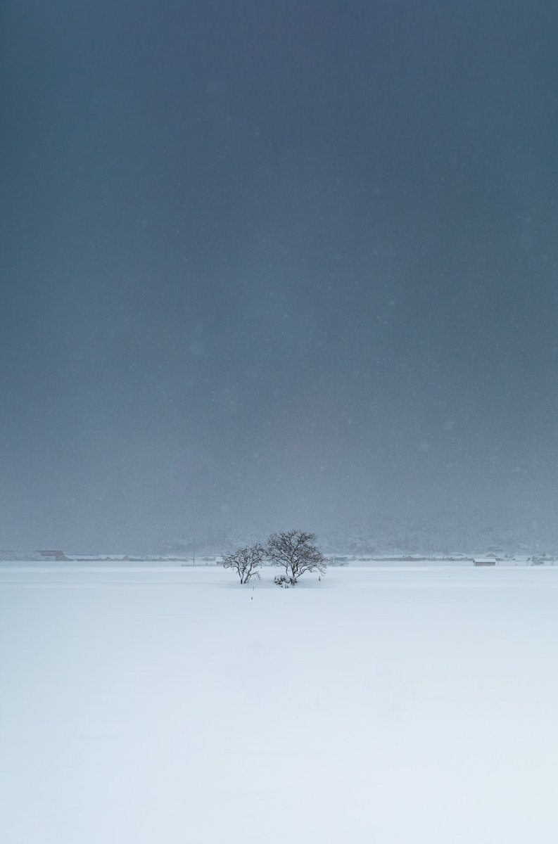 にゃも (@NYAMOPHOTOGRAPH) / Posts / X