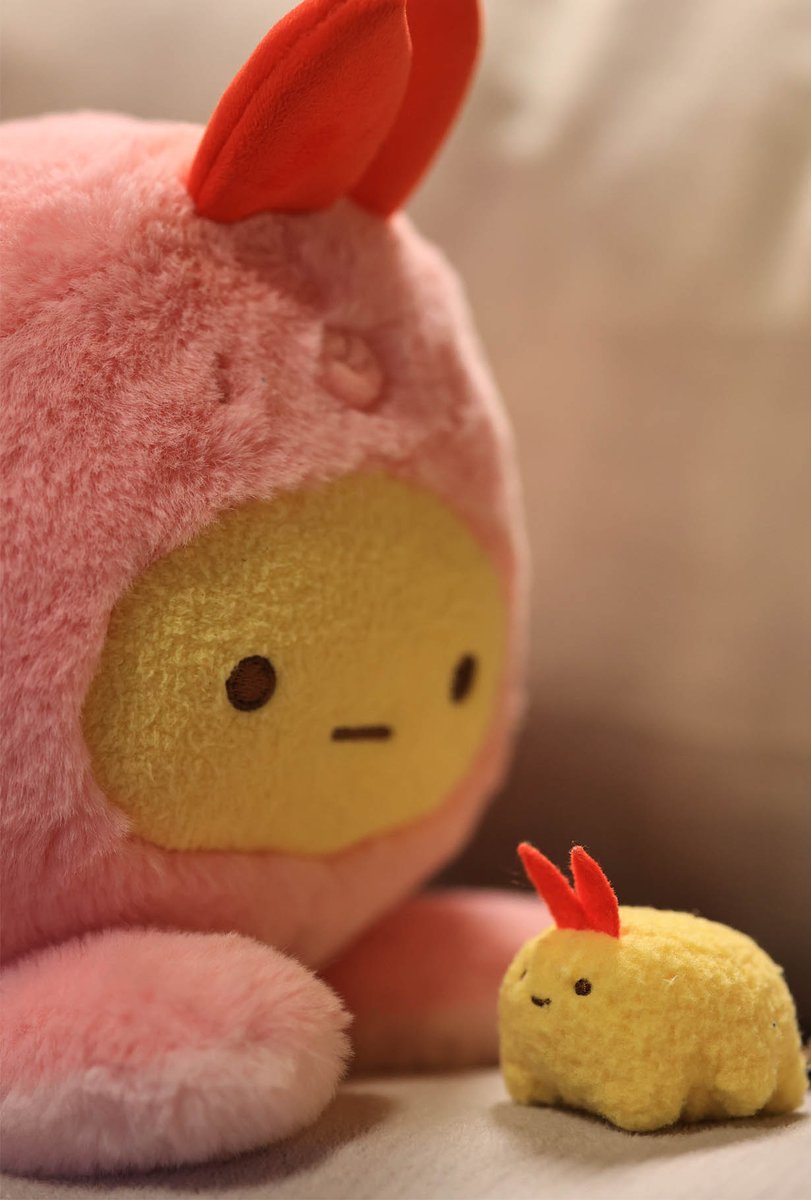 fairytalemimi's tweet photo. 🐙　小さき者よ、願いをひとつ叶えてやる
🍤　・・・

#すみっコ写真部 https://t.co/OrvTQpNCwV