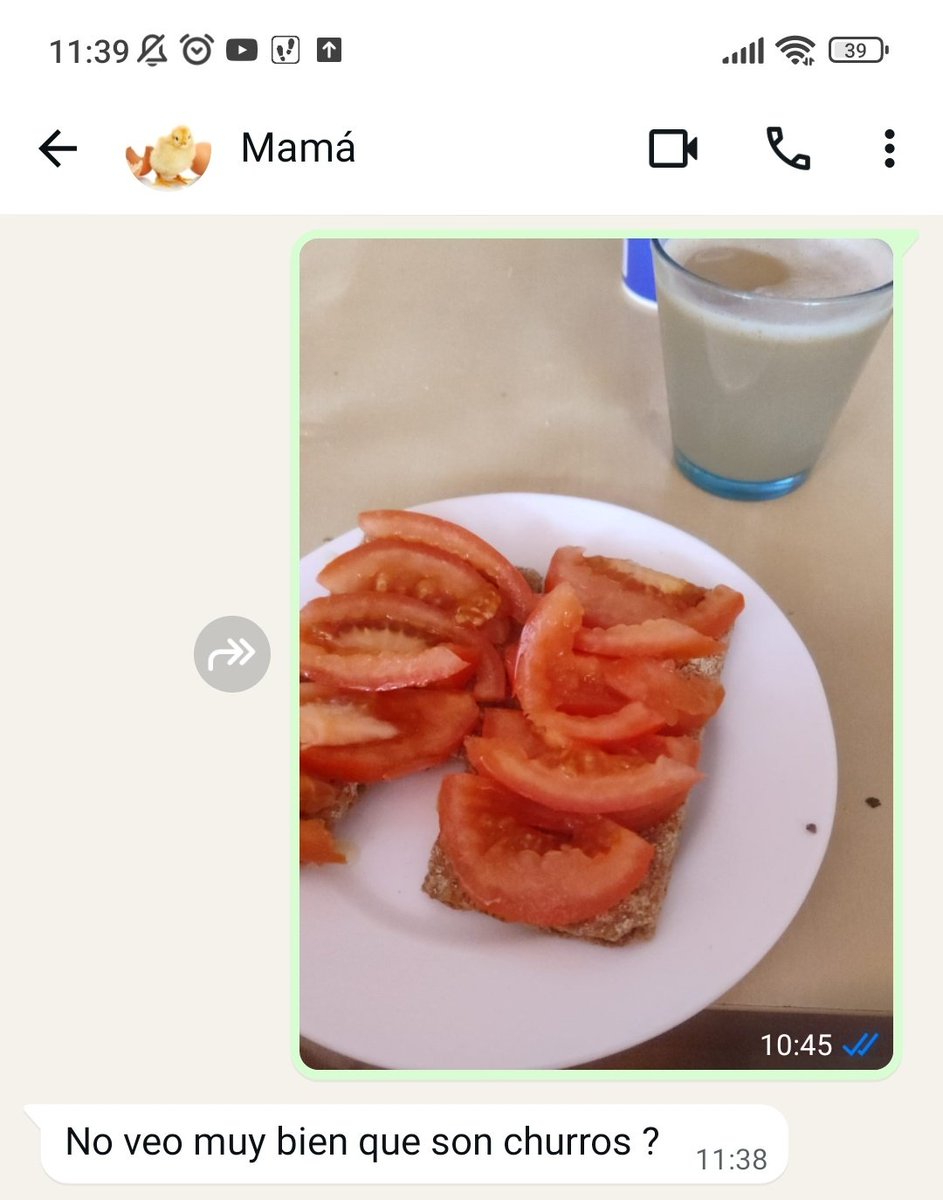 Toda la conversación con mi madre se basa en que yo le enseño lo que voy a comer ese día y ella me lo describe