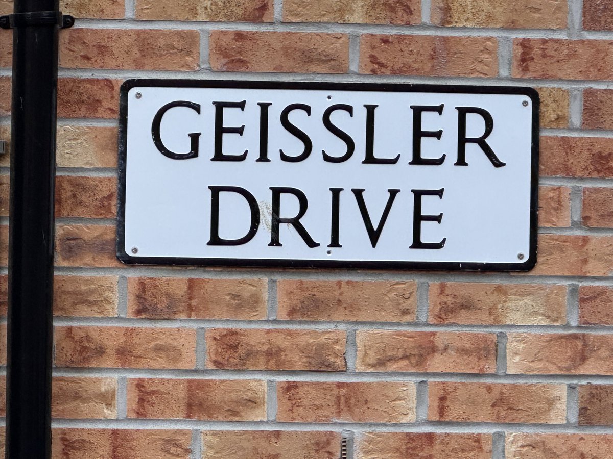 John Edward 🌍 tweet media