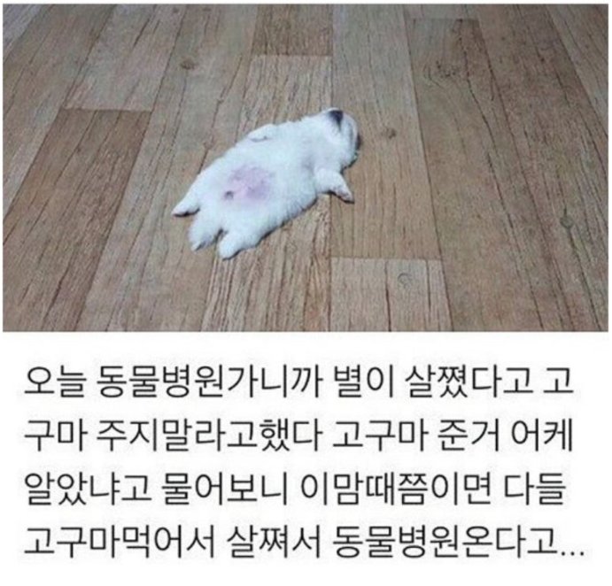 B_DANI_L's tweet image. 다들 인용으로 좋아하는 짤 자랑해주세요💙🙏
저는 이맘때쯤 가장 좋아하는 짤 첨부합니다