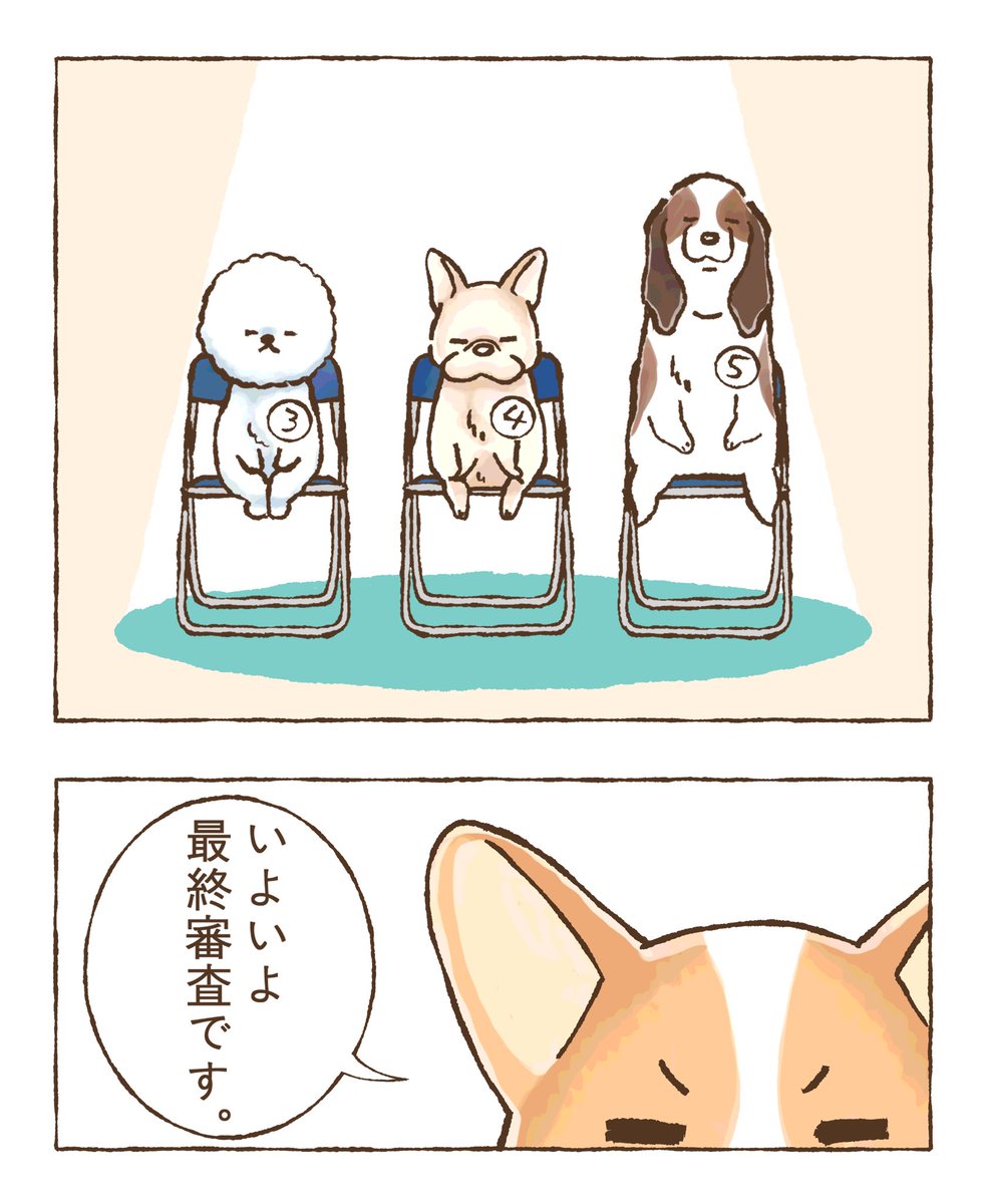 藤原めめ (@meg12_06) / Posts / X