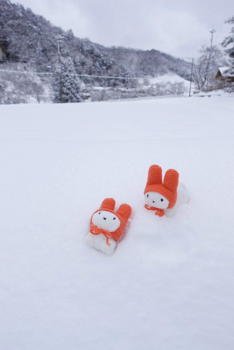 楽しそうでなにより