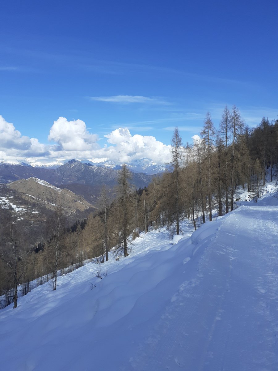 Mafalda8690879's tweet photo. La bellezza forse non salverà il mondo, ma aiuta a vivere.
#yesterday #snow #nature #ciaspole #vita #felicità #montagna #ValDiSusa https://t.co/nkk5TuUqS7