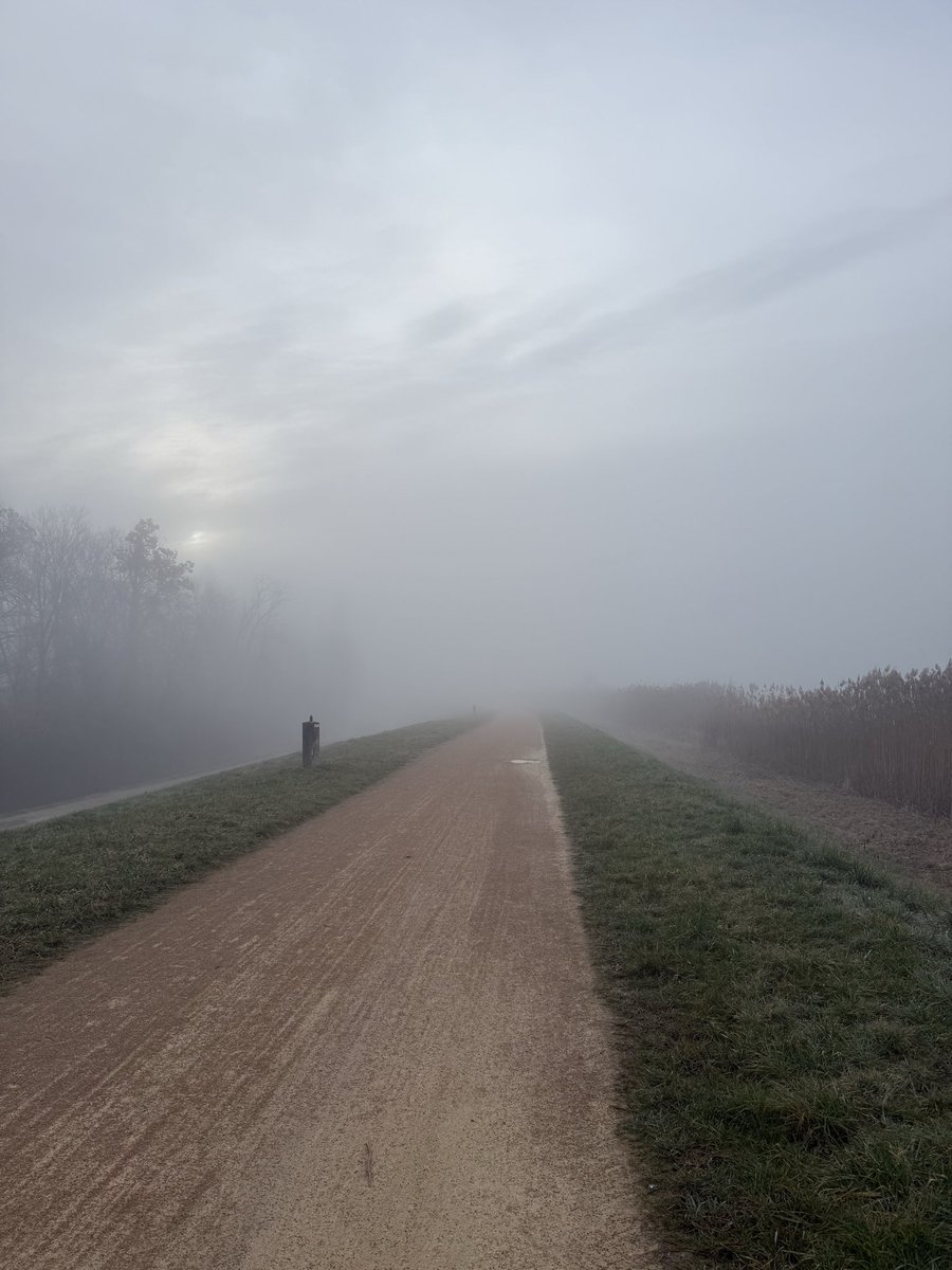 bpchimiste's tweet photo. Peaceful Sunday morning #run 19km (11.8m) ππ». I really appreciate the temperature in France at this time of year π Have a nice day yβall. Bonne journΓ©e Γ tous β€οΈ #runners #SnowRunners without snow π https://t.co/V6h8IYA9qD