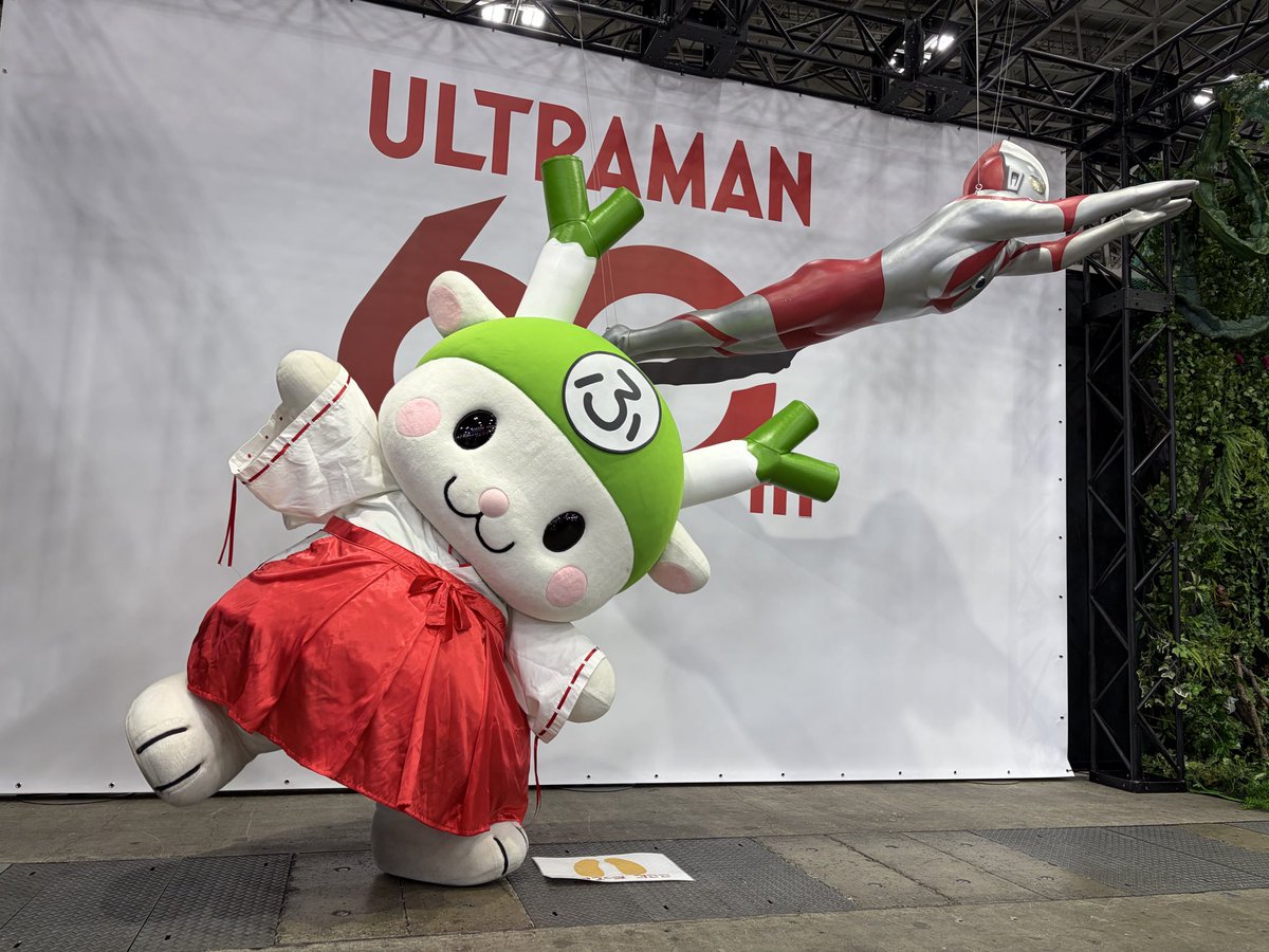 ふっかちゃん (@fukkachan) / Posts / X